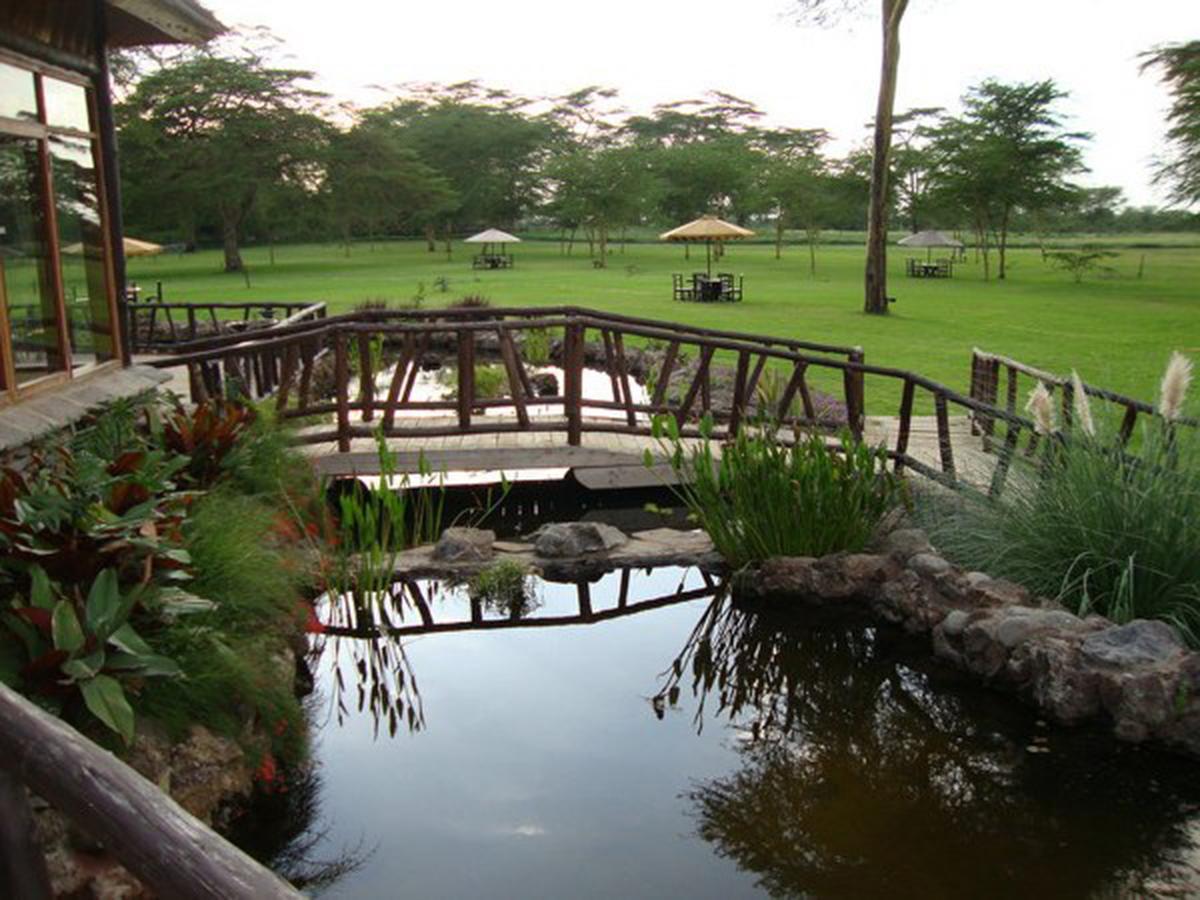 נאיוואשה Sawela Lodges מראה חיצוני תמונה
